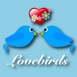 Lovebirds - The Game