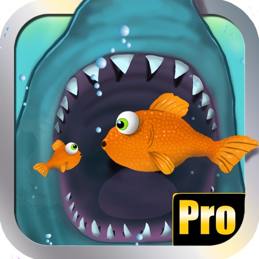 Gold Fish Revenge:  Pro Shark Run and Attack Race for Kids
