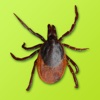 Lyme Disease Tick Map