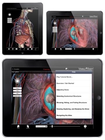 3D Heart & Circulatory Premium 2 screenshot 2