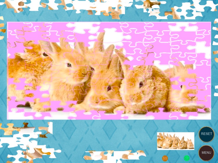 Fluffy Bunnies Jigsaw Puzzle HD screenshot-4