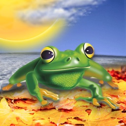 WeatherFrog - Accurate World Weather Forecast