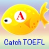 Catch TOEFL