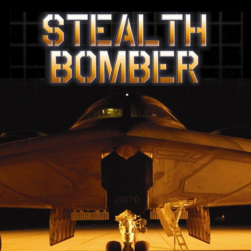 B-2 Stealth Bomber