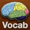 Vocabulary Build