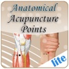 Anatomical Illustration of Acupuncture Points Lite