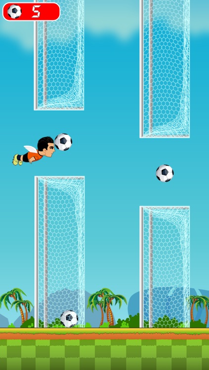 Flappy Robin