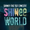 SHINee The 1st Concert Photobook for iPad