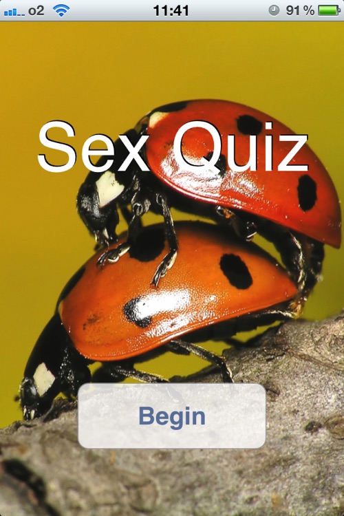 Sex-Quiz