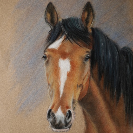 How to Paint a Horse with aAward-winning Artist: Amazing drawing and painting app icon