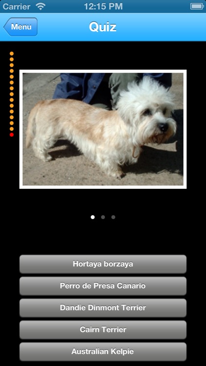 Dogs Info screenshot-4