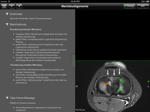 up3coach screenshot 4