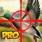 A Cool Adventure Hunter The Duck Shoot-ing Game By Free Animal-s Hunt-ing & Fish-ing Games For Adult-s Teen-s & Boy-s Pro
