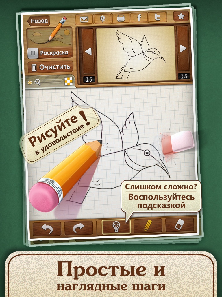 Drawing lessons: Learn how to draw birds! screenshot 3