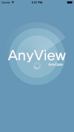 AnyView