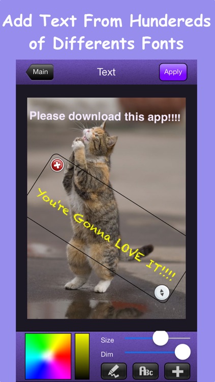 Insta Edit - The Photo Editor App Adds Stickers Effects Filters to Pictures Easy to Use
