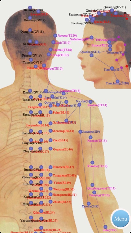 Acupuncture,Acupressure,Meridian - Best seller in china