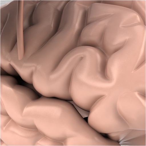 Brain Surgery Game HD icon