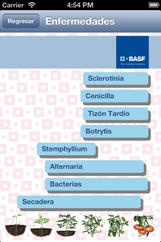 BASF México - Cultivo del Tomate screenshot 3