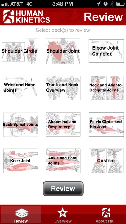 Anatomy & Kinesiology Flashcards
