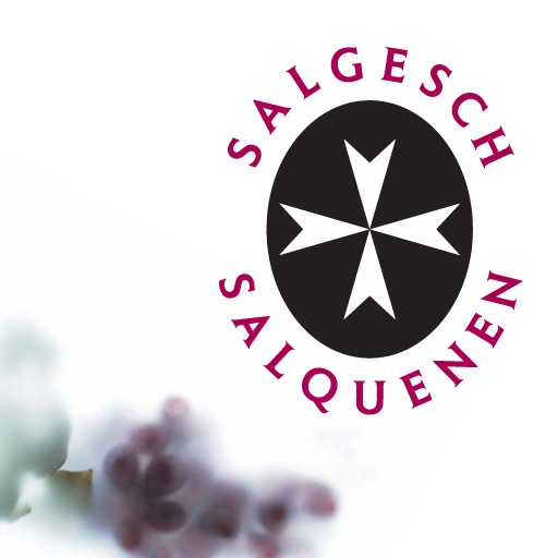 Salgesch icon