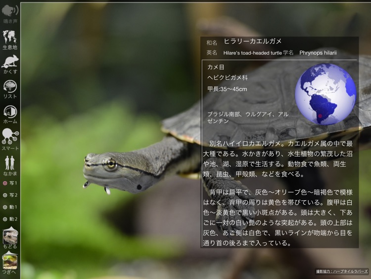 Reptile Life for Japan FREE
