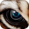 InstaAnimal-Animal Face Photo Editor for Instagram