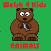 Welsh Learning for Kids - Animals