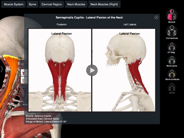 Essential Muscle + Skeleton Anatomy(圖3)-速報App