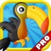 Crazy Birds Bubble Adventure PRO - A Fun Kids Game !