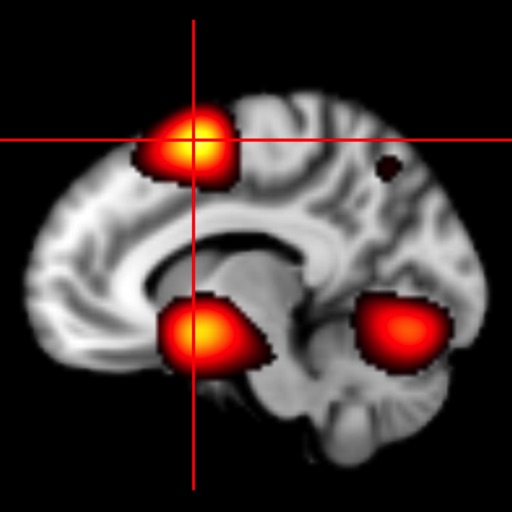 NeuroPub Visualizer Icon