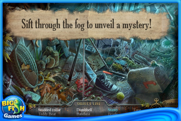 Enigmatis: The Ghosts of Maple Creek Collector's Edition