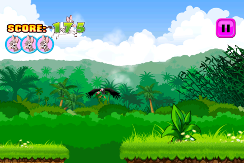 Baby Zebra Dash : Running With Little Zoo Buddies screenshot 3