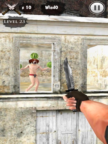 Throwing Knife King 3D HD Free screenshot 3