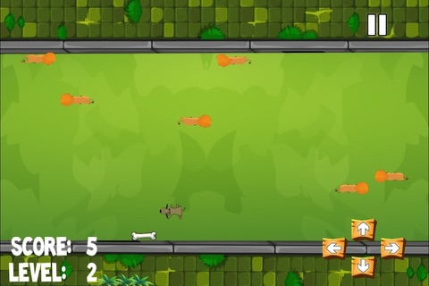 A Flash Dog in the Park Tasting Bones Around A Fury Lions Free screenshot 4