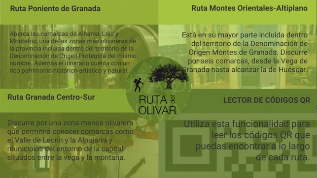 Ruta del Olivar