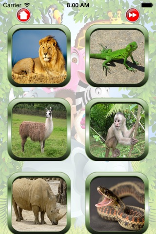 Wild Animal For Kid - Educate Your Child To Learn English In A Different Way screenshot 2