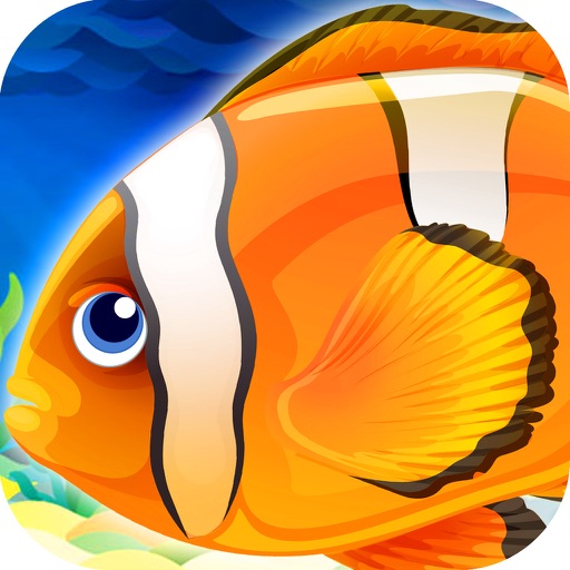 Finding Gold Fish Slots