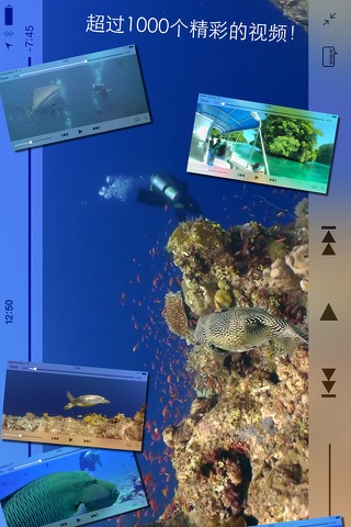 Scuba Diving - Amazing underwater world screenshot 2
