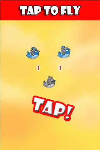 Chick Fly or Die - Easy tap tap flying chicken game screenshot 4