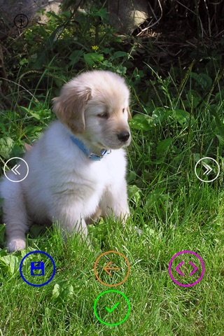 Sweet Puppies - Wallpapers & Slideshow HD screenshot 2