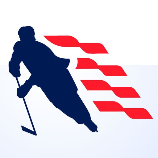 hockey 2015 icon