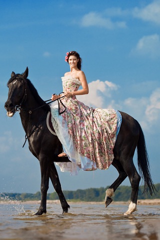 Скриншот из Dream Horses - Art Gallery: Breeds & Types, Racetrack & Tournaments, Photos & Paintings