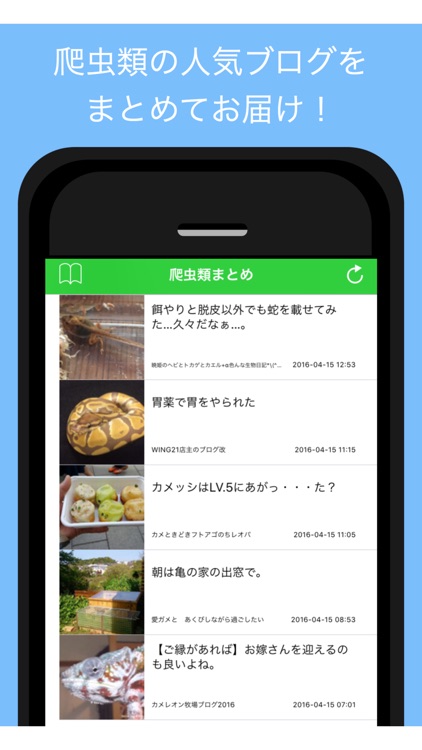 爬虫類ブログまとめ - 人気の爬虫類ブログをまとめてお届け