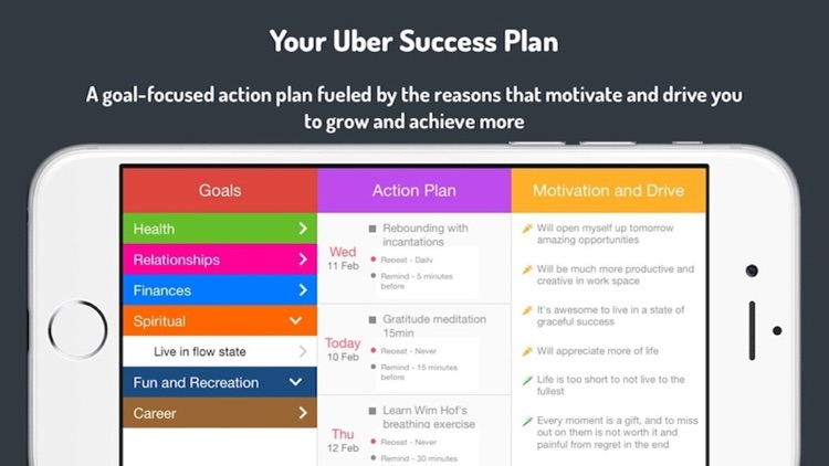 Uber Success Plan: The Best Goal Planning, Productivity Increasing Success App In The Planet screenshot-3