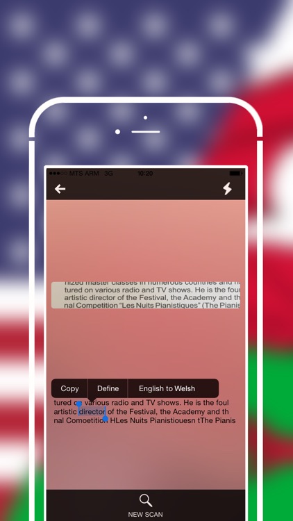 Offline Welsh to English Language Dictionary