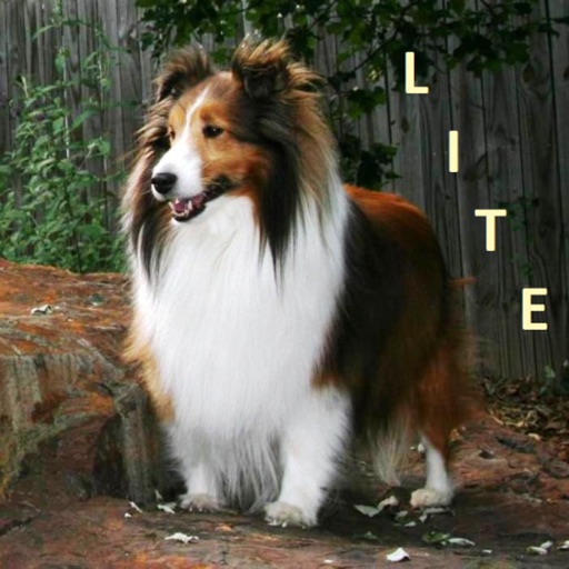 iPet Memorial Lite - The Memory of Your Dog, Cat or Other Pet Saved and Shared