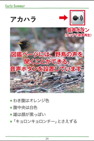 鳥ナビ～1年で120種類の野鳥と出会えるガイド・初夏編 screenshot 4