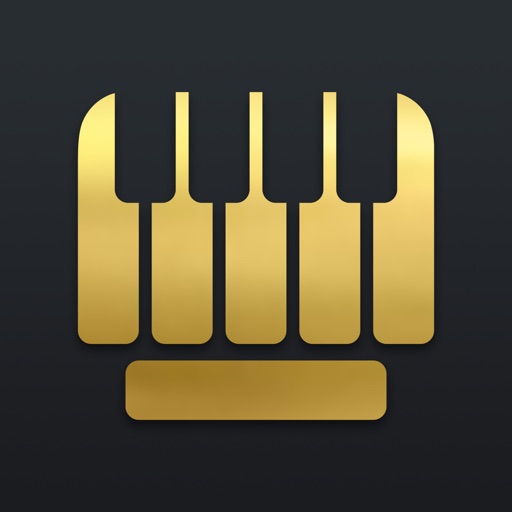 Piano Keyboard Pro - Type The Music iOS App