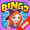 Bingo Witch: Cauldron of Riches Jackpot - Pro Edition